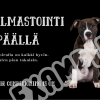 Musta automagneetti Ilmastointi päällä
