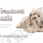 Automagneetti ilmastointi päällä valkoinen tuulitukka